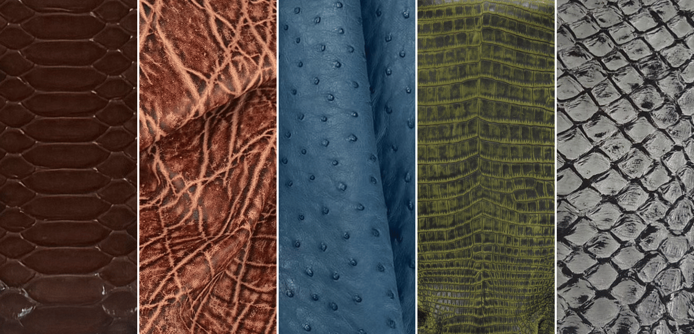 Special Ordering Exotic Leather: Costs, Sizes, Colors & Finishes