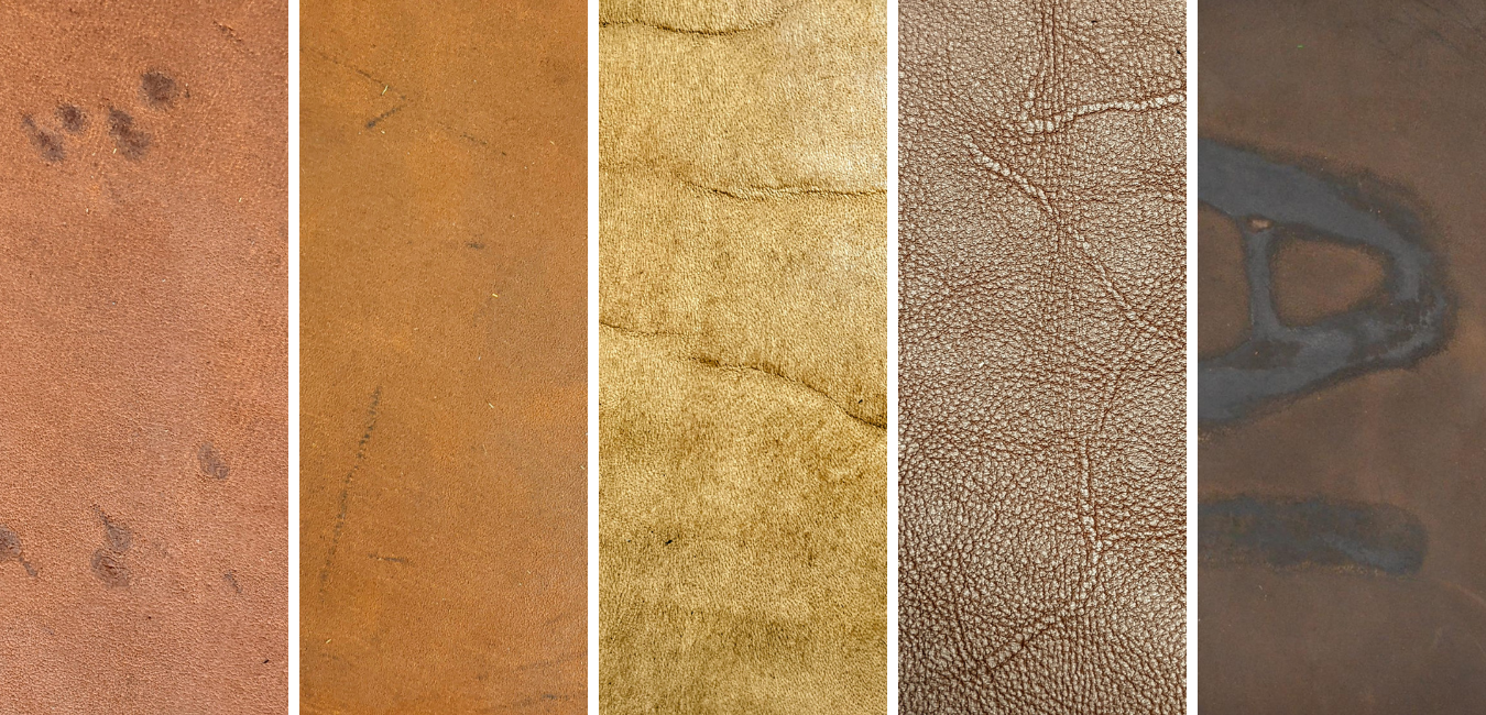 "What's on my leather?" Let's talk about Natural Markings!