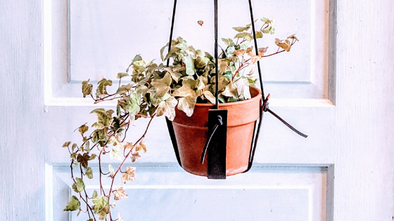 How To Make An Easy DIY Leather Plant Hanger