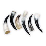 Special Offer 6 pack Polished Cow Horns – Genuine Horns for Crafts & Decor, 10"-12" Pack | The Leather Guy