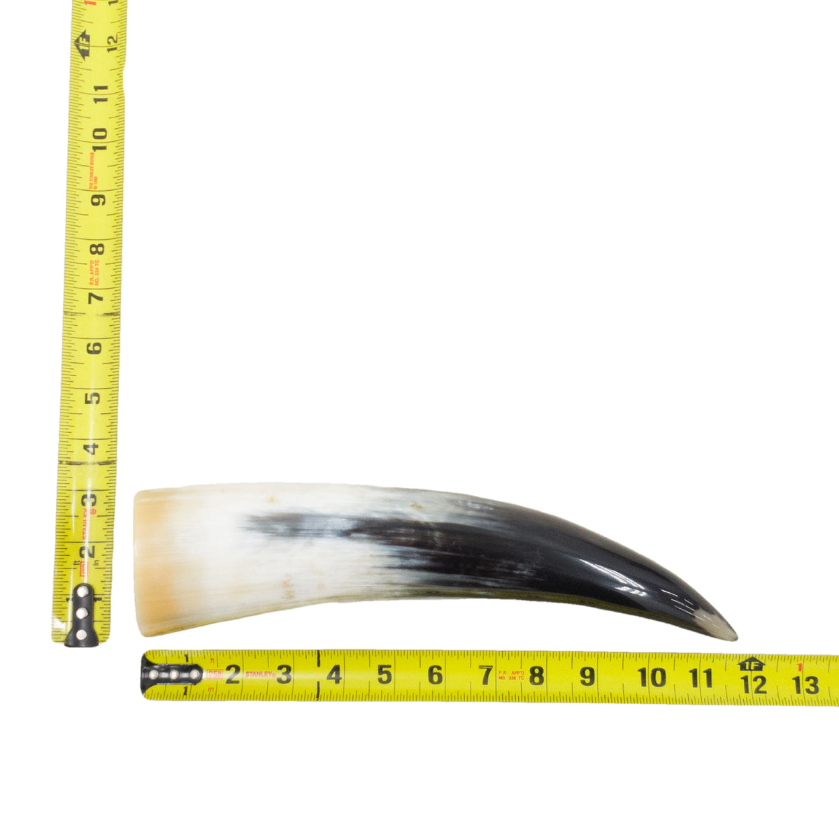 10–12" Single Polished Cow Horns – Choose Your Exact Genuine Cow Horn, 20 (12") | The Leather Guy