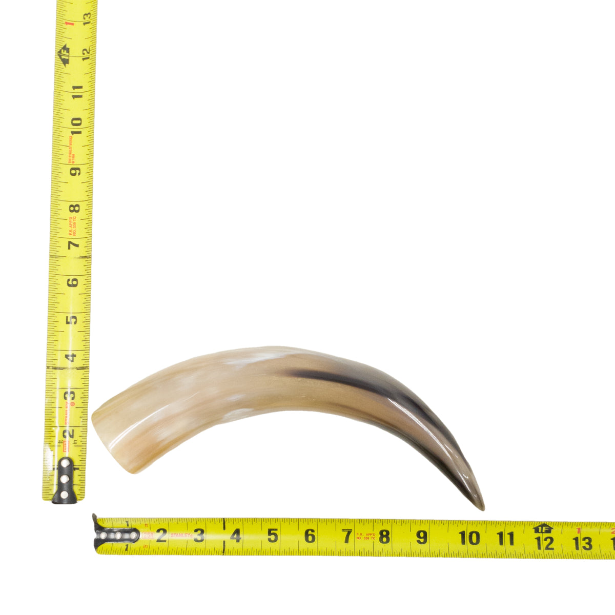 10–12" Single Polished Cow Horns – Choose Your Exact Genuine Cow Horn, 22 (10") | The Leather Guy