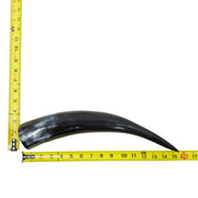 13–17" Single Polished Cow Horns – Choose Your Exact Genuine Cow Horn, 22 (15") | The Leather Guy