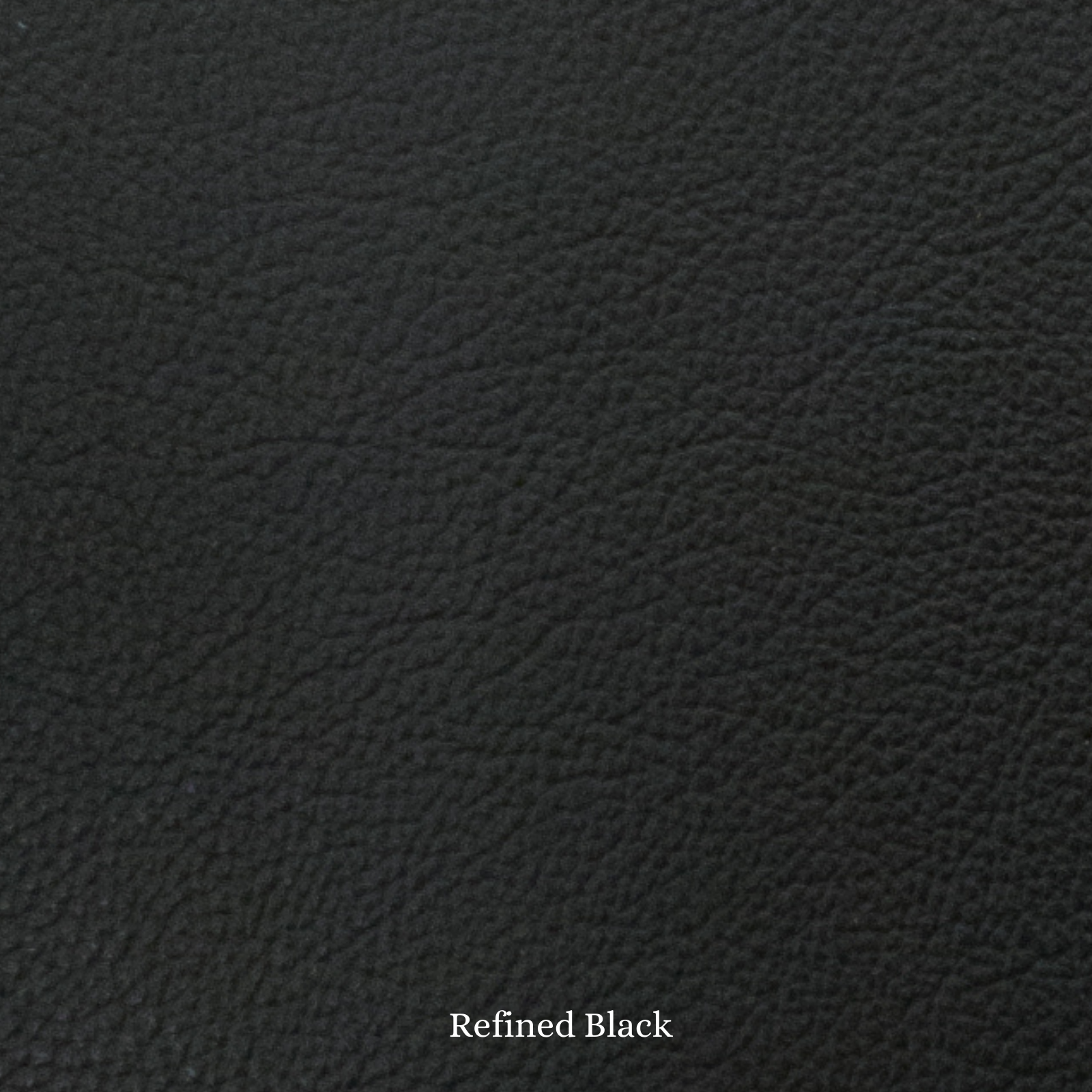 Coastal Collection 50-55 SF Full Hide Variation, Refined Black | The Leather Guy