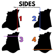 Leather Straight Edge Cutting Fee – Add-On Service, Side | The Leather Guy