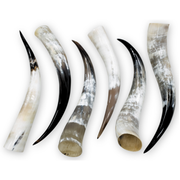 Special Offer 6 pack Polished Cow Horns – Genuine Horns for Crafts & Decor, 18"-23" Pack | The Leather Guy