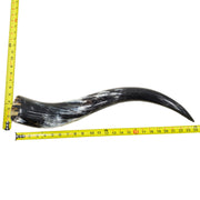 18–23" Single Polished Cow Horns – Choose Your Exact Genuine Cow Horn, 14 (24") | The Leather Guy