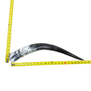 18–23" Single Polished Cow Horns – Choose Your Exact Genuine Cow Horn, 15 (21") | The Leather Guy