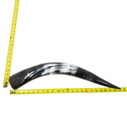 18–23" Single Polished Cow Horns – Choose Your Exact Genuine Cow Horn, 20 (23") | The Leather Guy