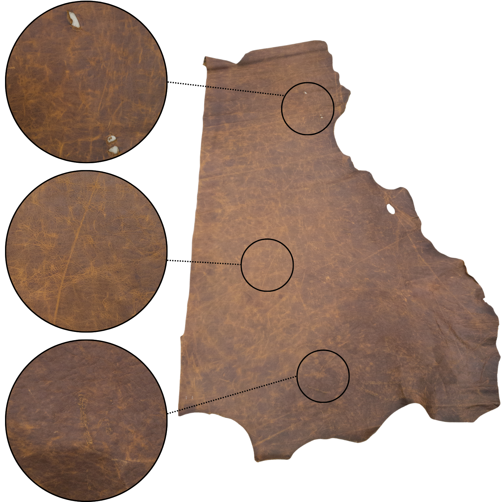 Golden Acorn Brown, 6.5-32 SqFt, 2-3 oz, Pull up Sides & Pieces, Crazy Buffalo, Side / 15-17 Low Grade | The Leather Guy
