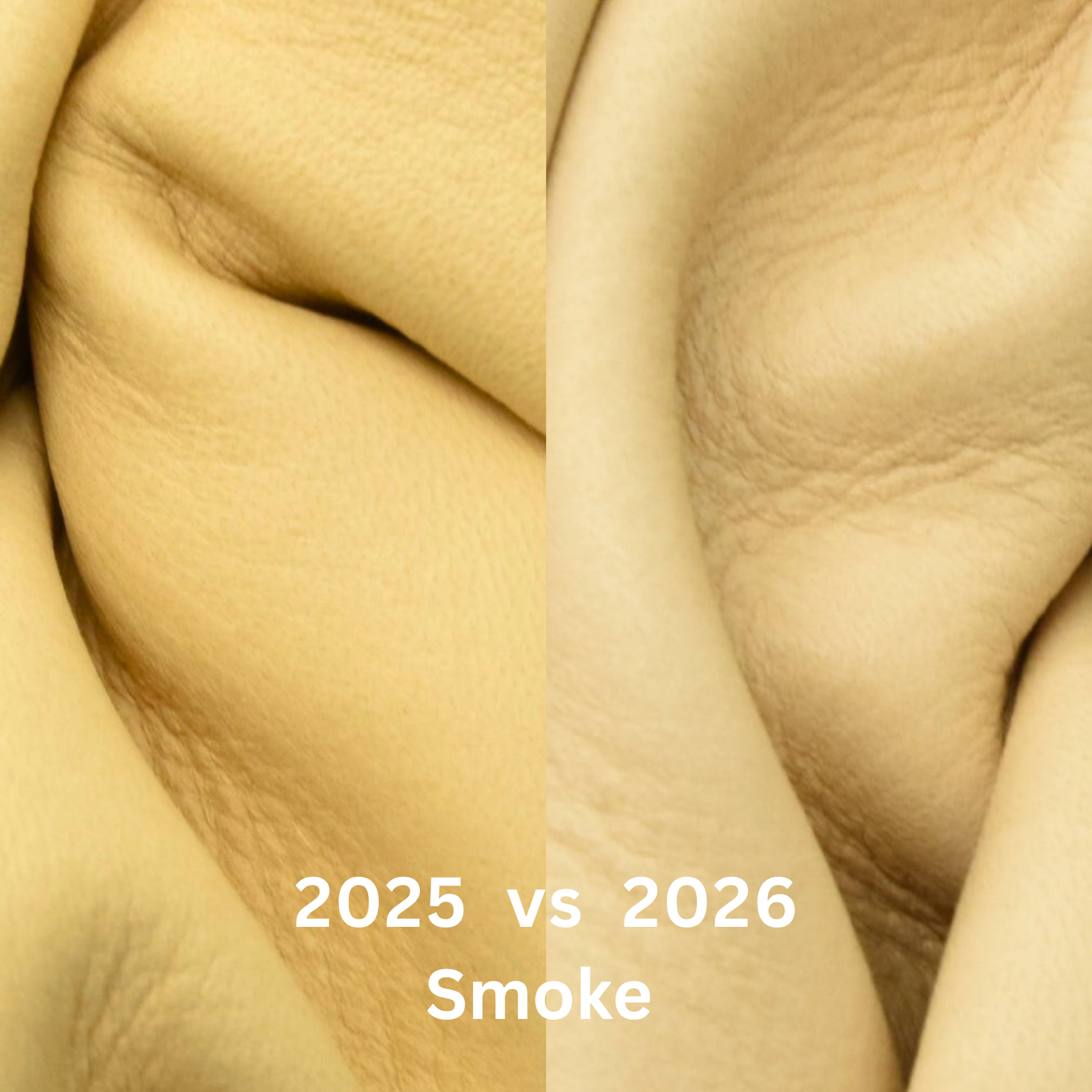 Smoke, 2-5 oz, 8-16 SF, Colorado Buckskin Deer Hides, | The Leather Guy