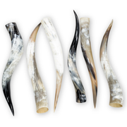 Special Offer 6 pack Polished Cow Horns – Genuine Horns for Crafts & Decor, 24"-30" Pack | The Leather Guy