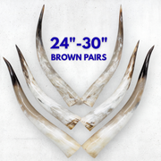 24–30" Gold & Light Brown Polished Cow Horn Pairs – Choose Your Exact Pair, | The Leather Guy