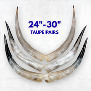 24–30" Taupe & Gray Polished Cow Horn Pairs – Choose Your Exact Pair, | The Leather Guy