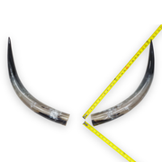 24–30" Taupe & Gray Polished Cow Horn Pairs – Choose Your Exact Pair, 4 | The Leather Guy