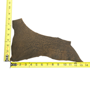 Genuine Giraffe Leather Hides, Brown Safari Non-Stock, 4-5 oz, 1-5 Sq Ft, 2(< 1 Sq Ft) | The Leather Guy
