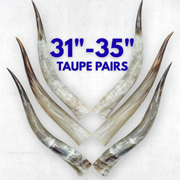 31–35" Taupe & Gray Polished Cow Horn Pairs – Choose Your Exact Pair, | The Leather Guy