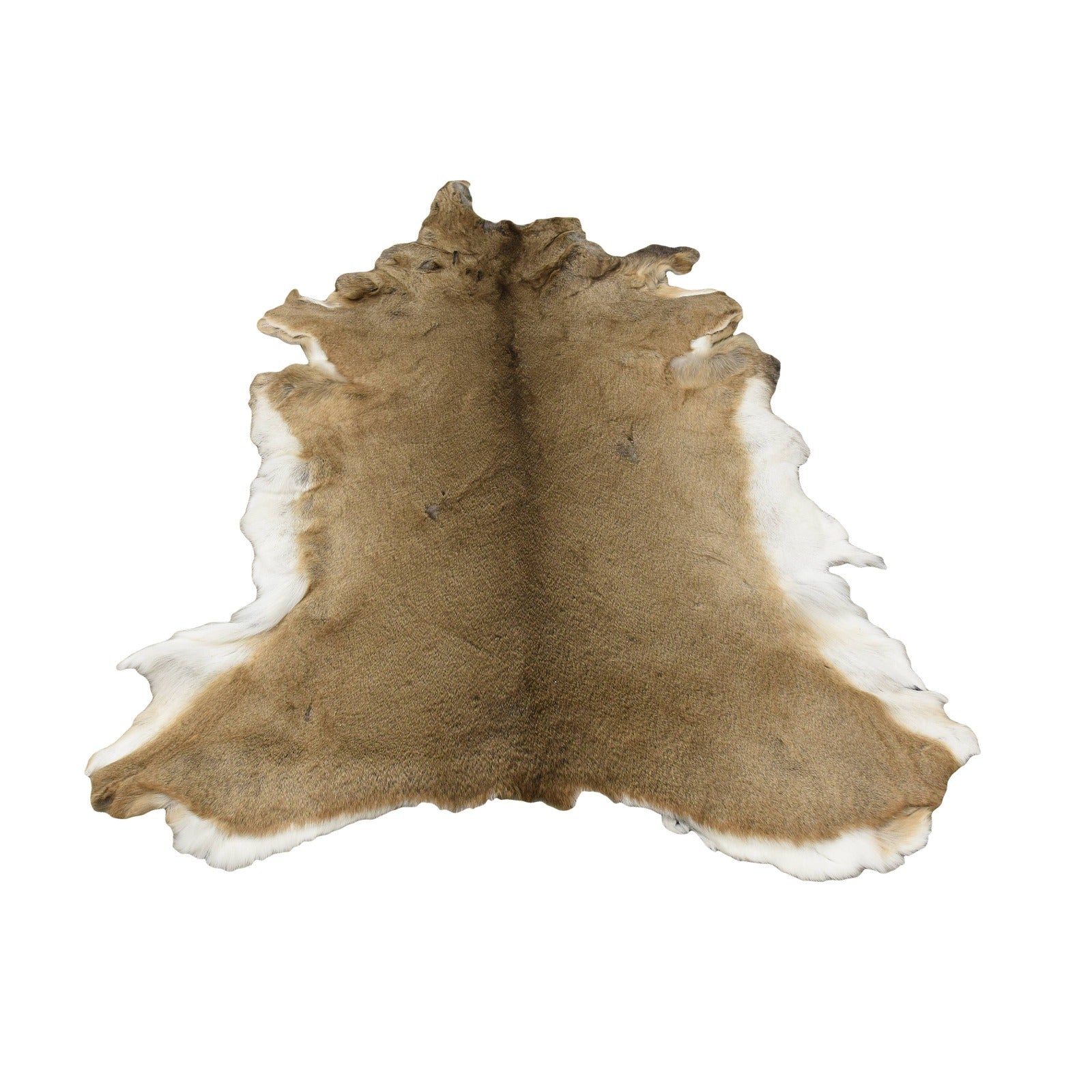 Deer hide deals