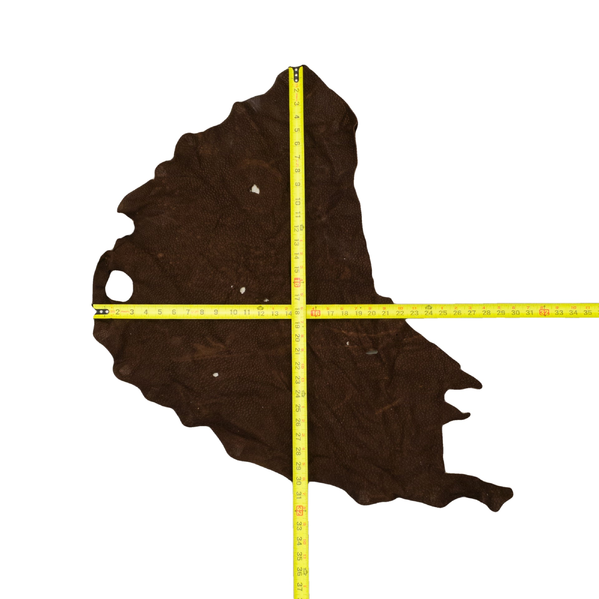 Genuine Carpincho (Capybara) Leather, 3 - 4 oz, Chrome Tan Project Pieces, Brown / 2 Sq ft / 3 | The Leather Guy