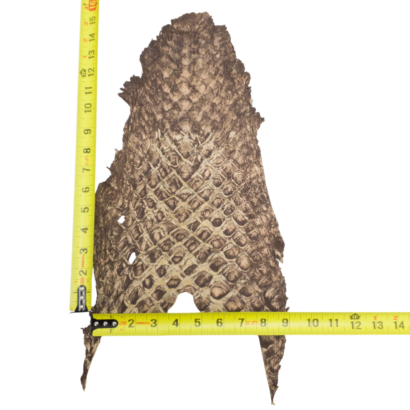 Pirarucu Amazon Bass Leather, Under 1 - 1 Sq Ft Project Pieces, Light Browns / Under 1 Sq Ft / 3 | The Leather Guy