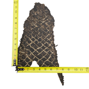 Pirarucu Amazon Bass Leather, Under 1 - 1 Sq Ft Project Pieces, Black and Tan / Under 1 Sq Ft / 2 | The Leather Guy