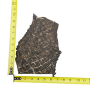 Pirarucu Amazon Bass Leather, Under 1 - 1 Sq Ft Project Pieces, Black and Tan / Under 1 Sq Ft / 4 | The Leather Guy