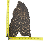 Pirarucu Amazon Bass Leather, Under 1 - 1 Sq Ft Project Pieces, Black and Tan / Under 1 Sq Ft / 5 | The Leather Guy