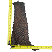 Pirarucu Amazon Bass Leather, Under 1 - 1 Sq Ft Project Pieces, Black and Caramel / Under 1 Sq Ft / 1 | The Leather Guy