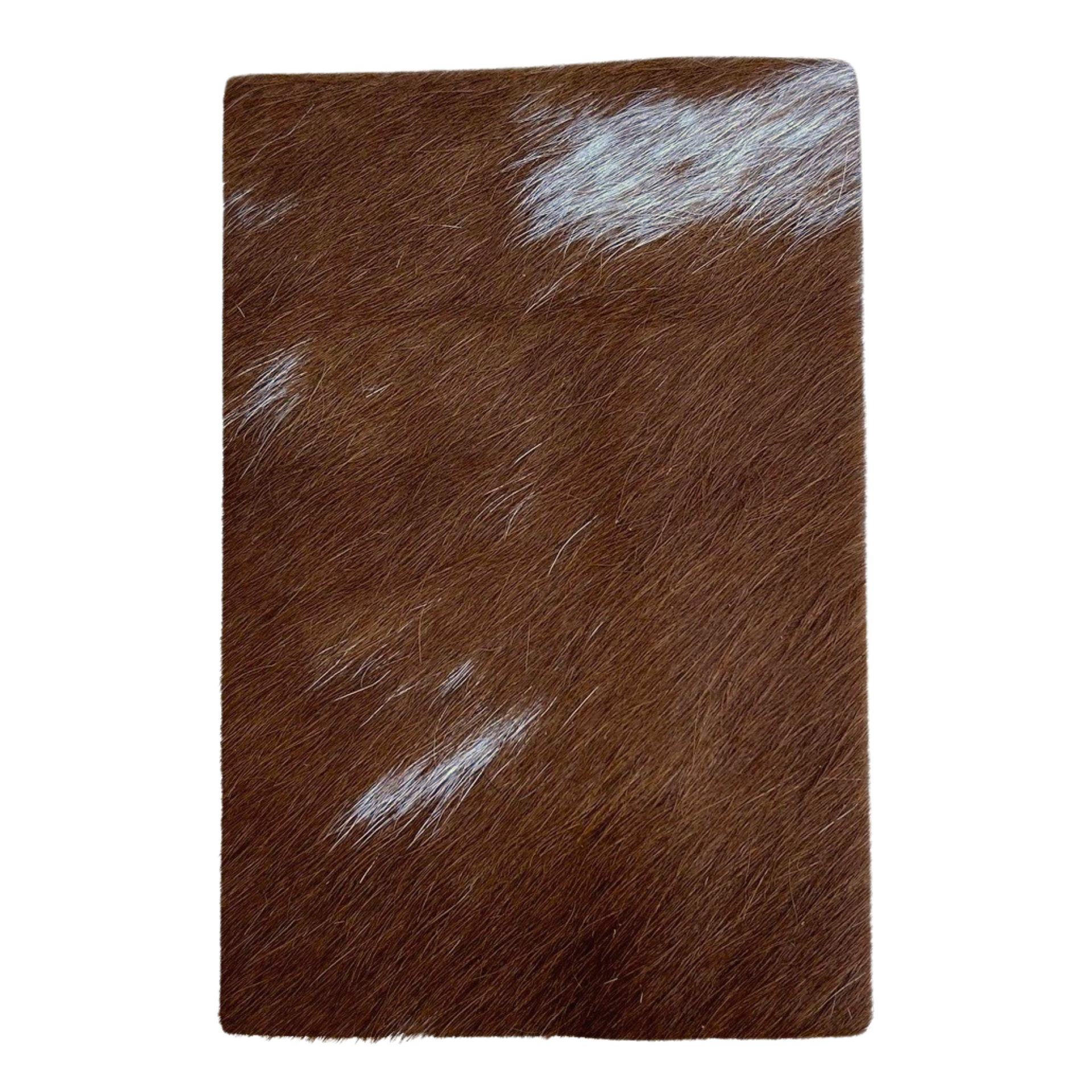 Bi Color Brown and Off White Hair on Cow Hide Pre-cuts, | The Leather Guy