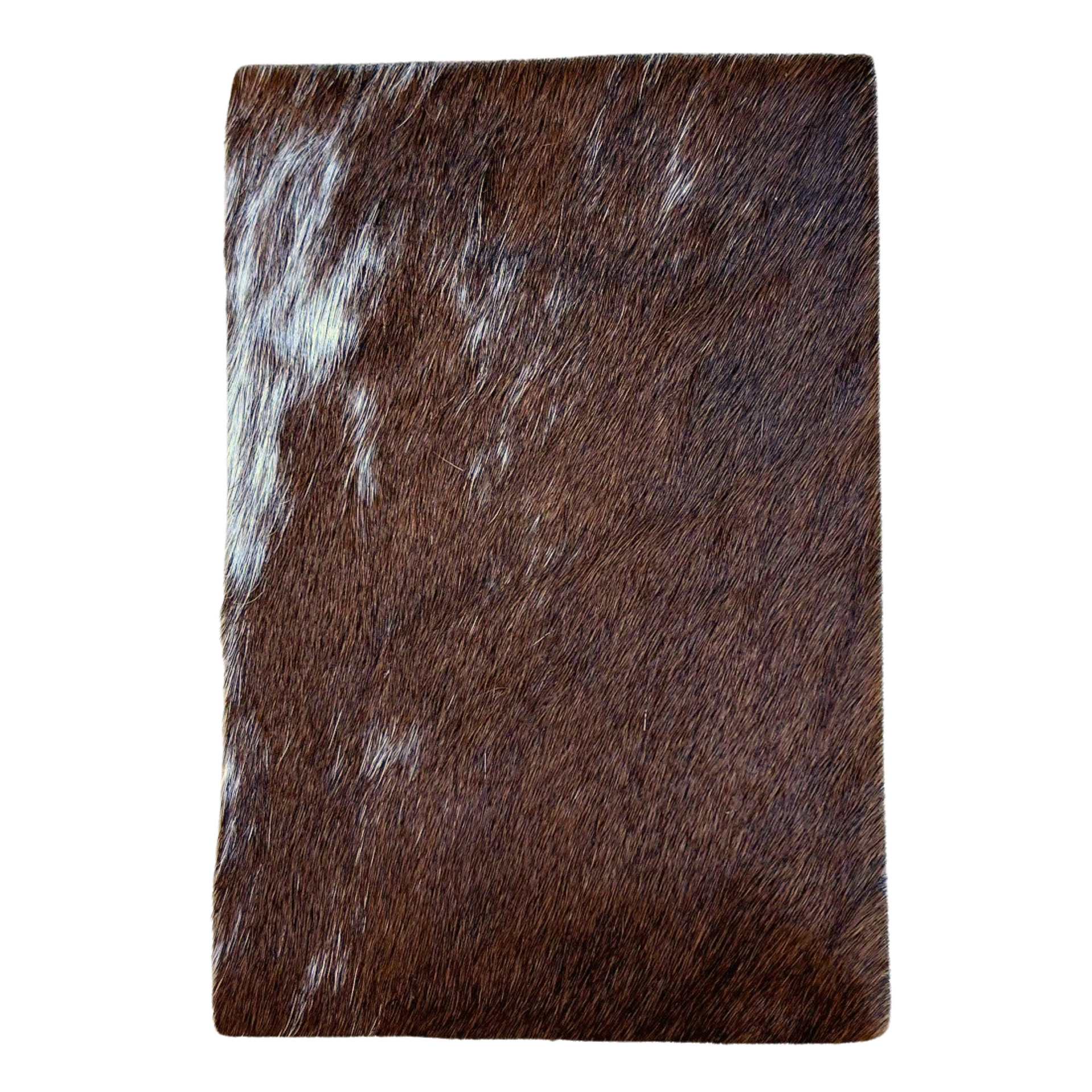 Bi Color Brown and Off White Hair on Cow Hide Pre-cuts, | The Leather Guy