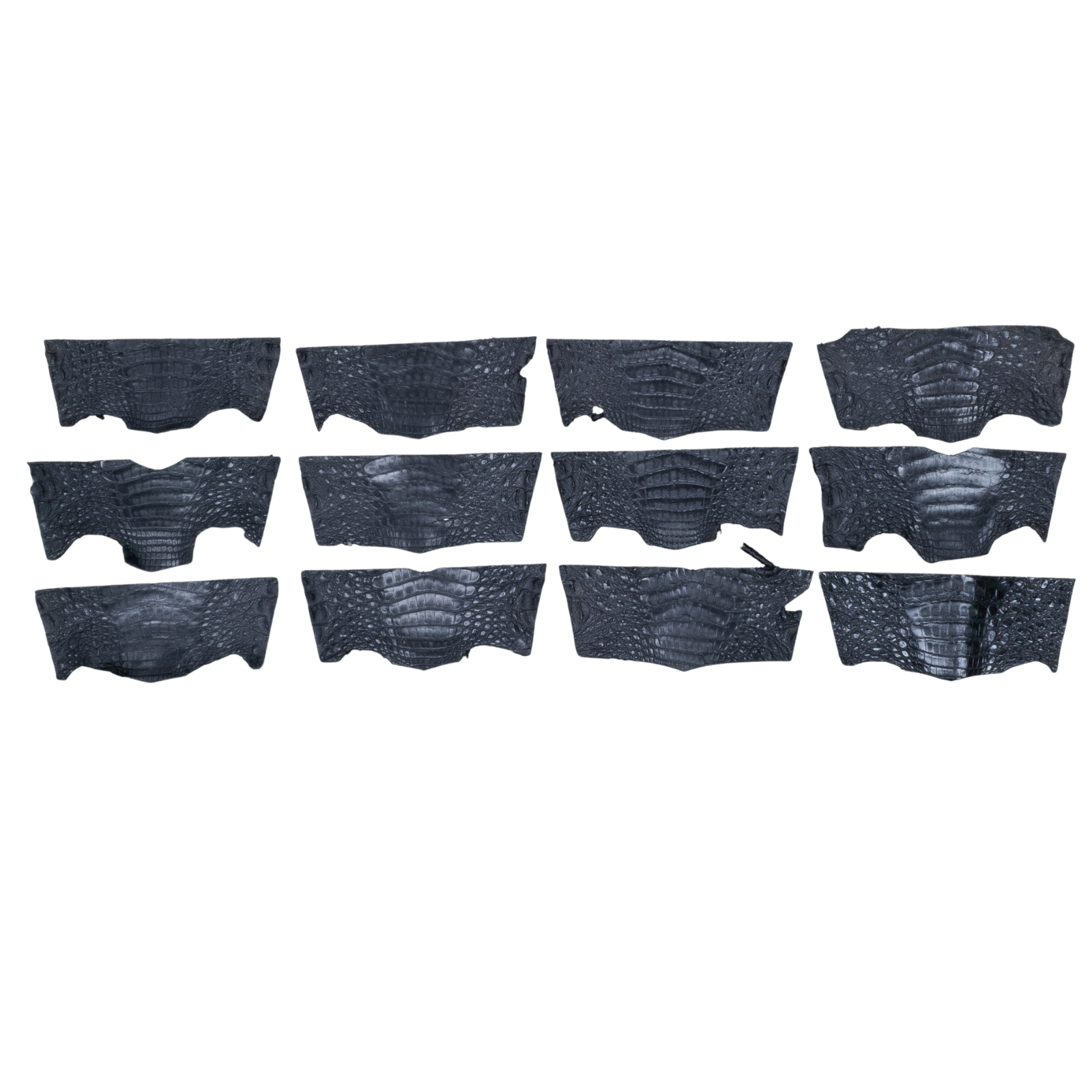 Caiman Project Piece Bundles, Various Colors Genuine Hide, Black Bellies / 12 Pack / Small | The Leather Guy
