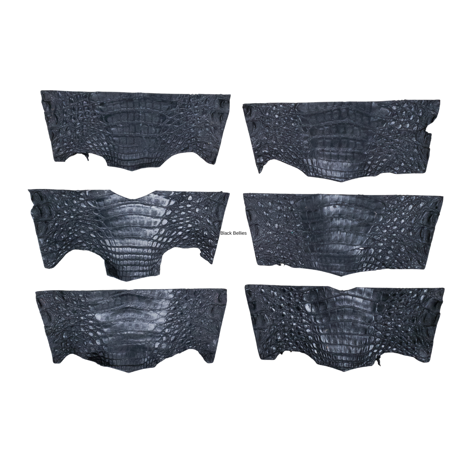 Caiman Project Piece Bundles, Various Colors Genuine Hide, Black Bellies / 6 Pack / Small | The Leather Guy