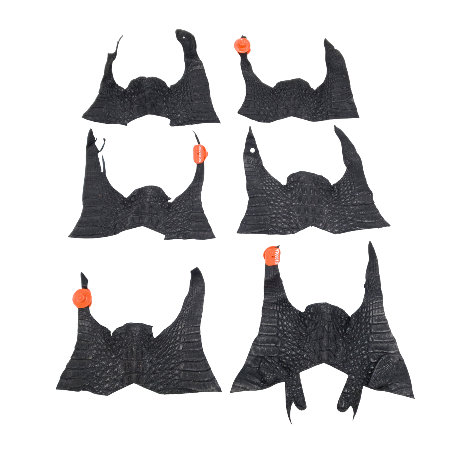 Caiman Project Piece Bundles, Various Colors Genuine Hide, Black Crowns / 6 Pack / Large | The Leather Guy