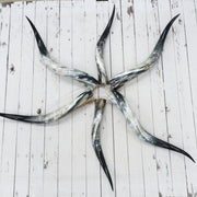 24" - 30" Pairs, Black Mix, Polished Cow Horns,  | The Leather Guy