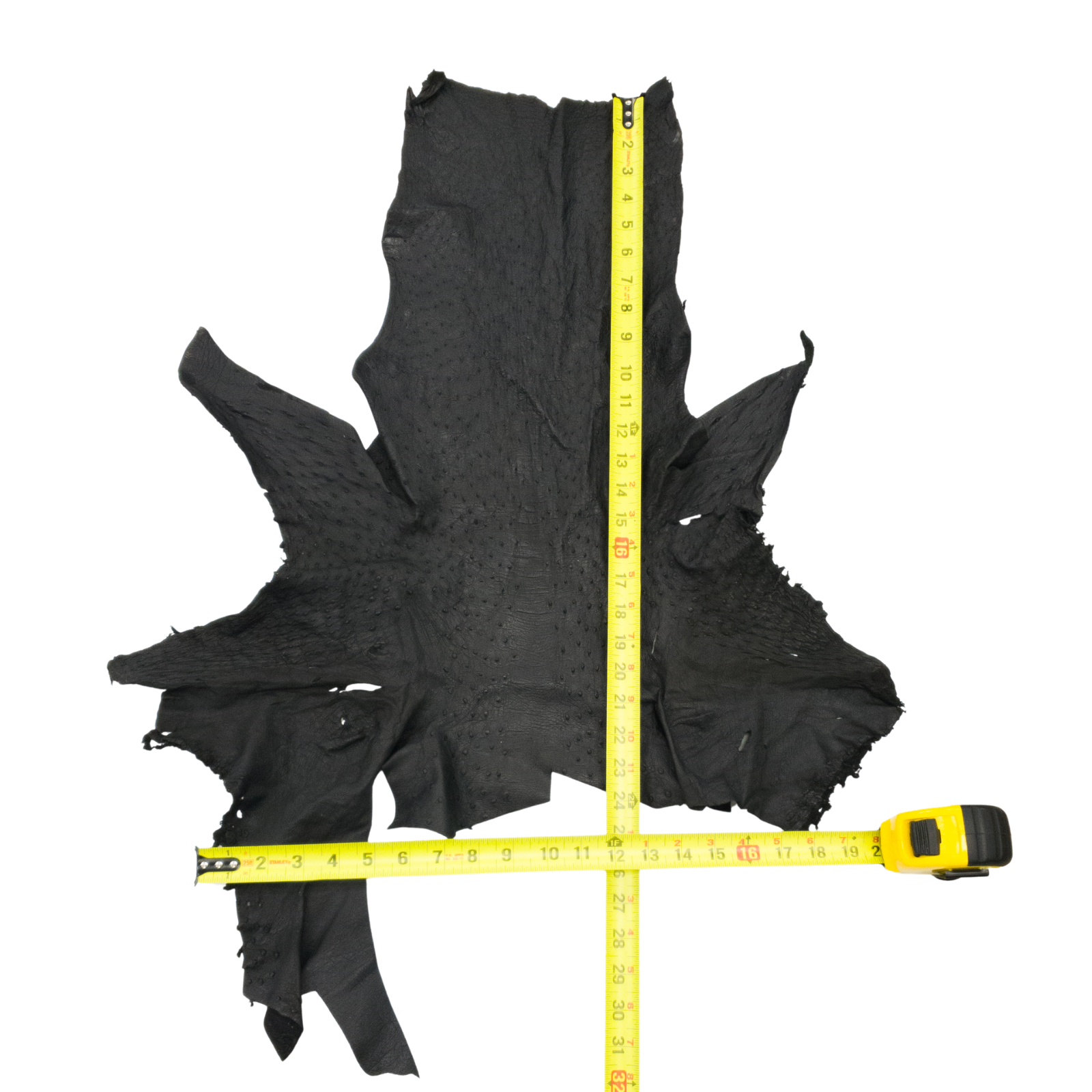 Ostrich, 1-2 Sq Ft, Project Pieces, Black / 2 Sq Ft / 4 | The Leather Guy
