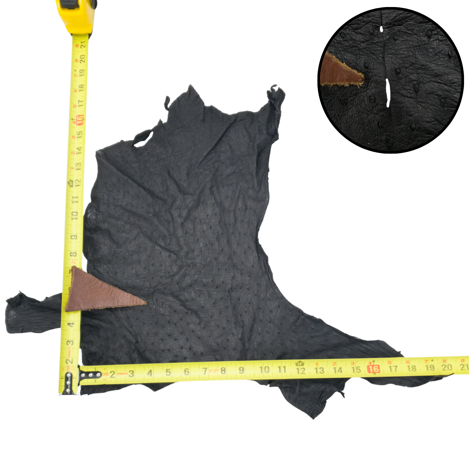 Ostrich, 1-2 Sq Ft, Project Pieces, Black / 1 Sq Ft / 1 | The Leather Guy