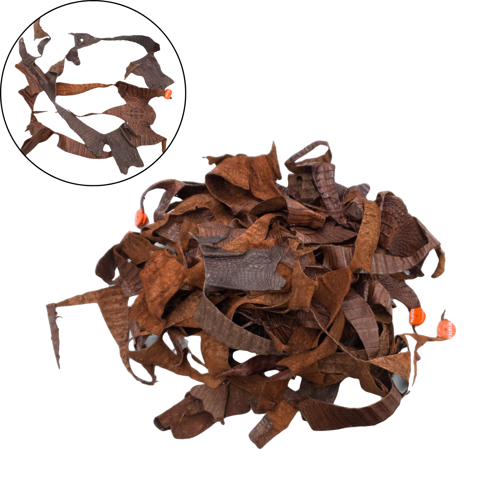 IN STORE: CYBER MONDAY EXOTIC SCRAP 3LB GRAB BAGS, Brown Caimen | The Leather Guy