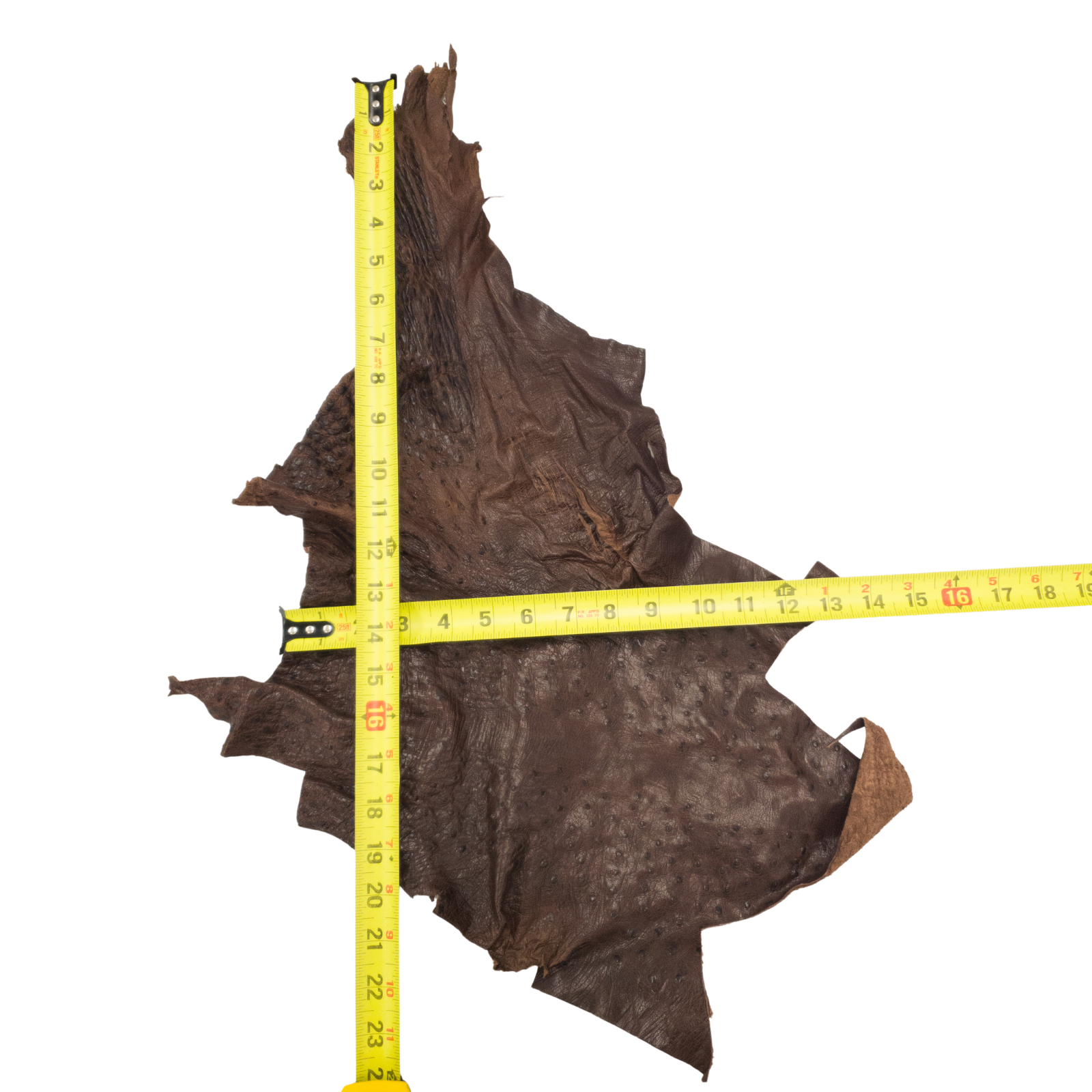 Ostrich, 1-2 Sq Ft, Project Pieces, Dark Browns / 1 Sq Ft / 1 | The Leather Guy