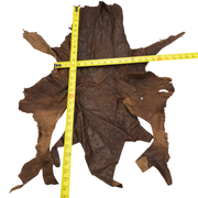 Ostrich, 1-2 Sq Ft, Project Pieces, Dark Browns / 2 Sq Ft / 1 | The Leather Guy