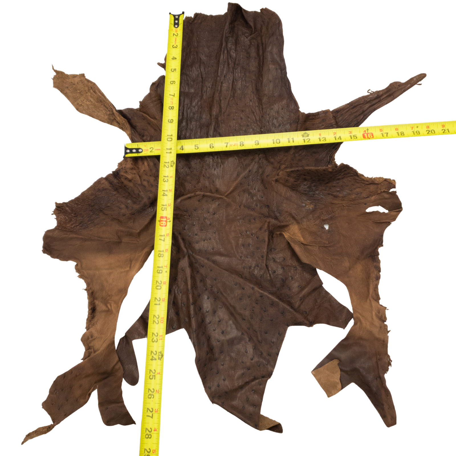 Ostrich, 1-2 Sq Ft, Project Pieces, Dark Browns / 2 Sq Ft / 1 | The Leather Guy