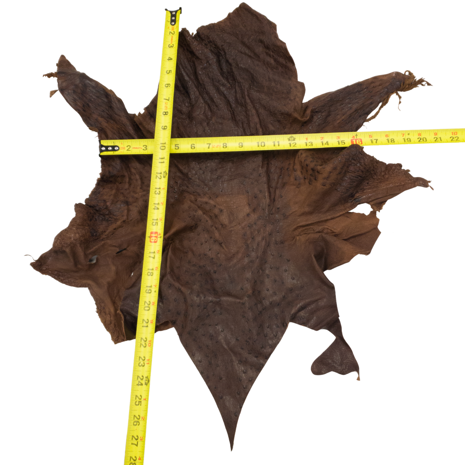 Ostrich, 1-2 Sq Ft, Project Pieces, Dark Browns / 2 Sq Ft / 2 | The Leather Guy