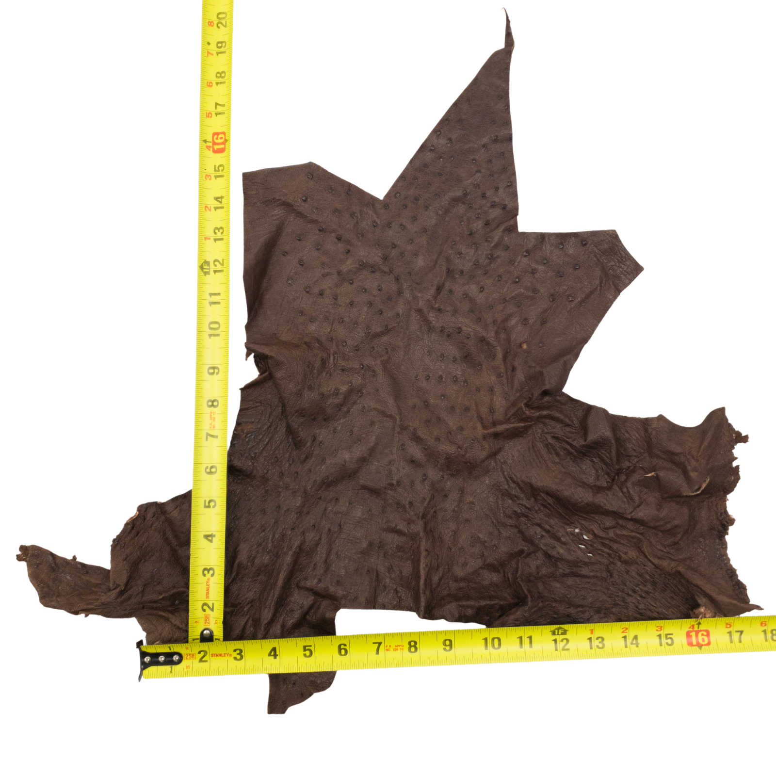 Ostrich, 1-2 Sq Ft, Project Pieces, Dark Browns / 1 Sq Ft / 2 | The Leather Guy