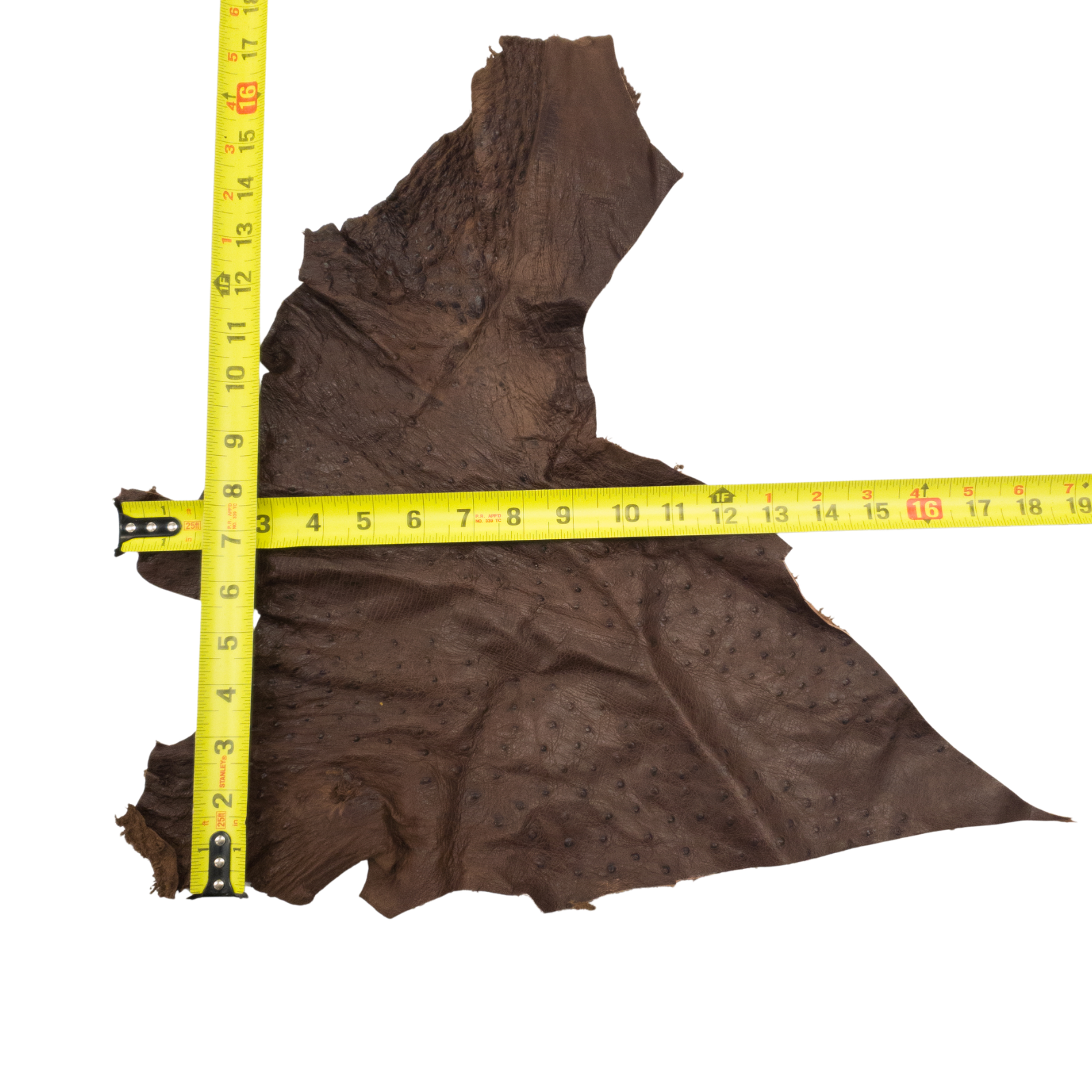 Ostrich, 1-2 Sq Ft, Project Pieces, Dark Browns / 1 Sq Ft / 5 | The Leather Guy
