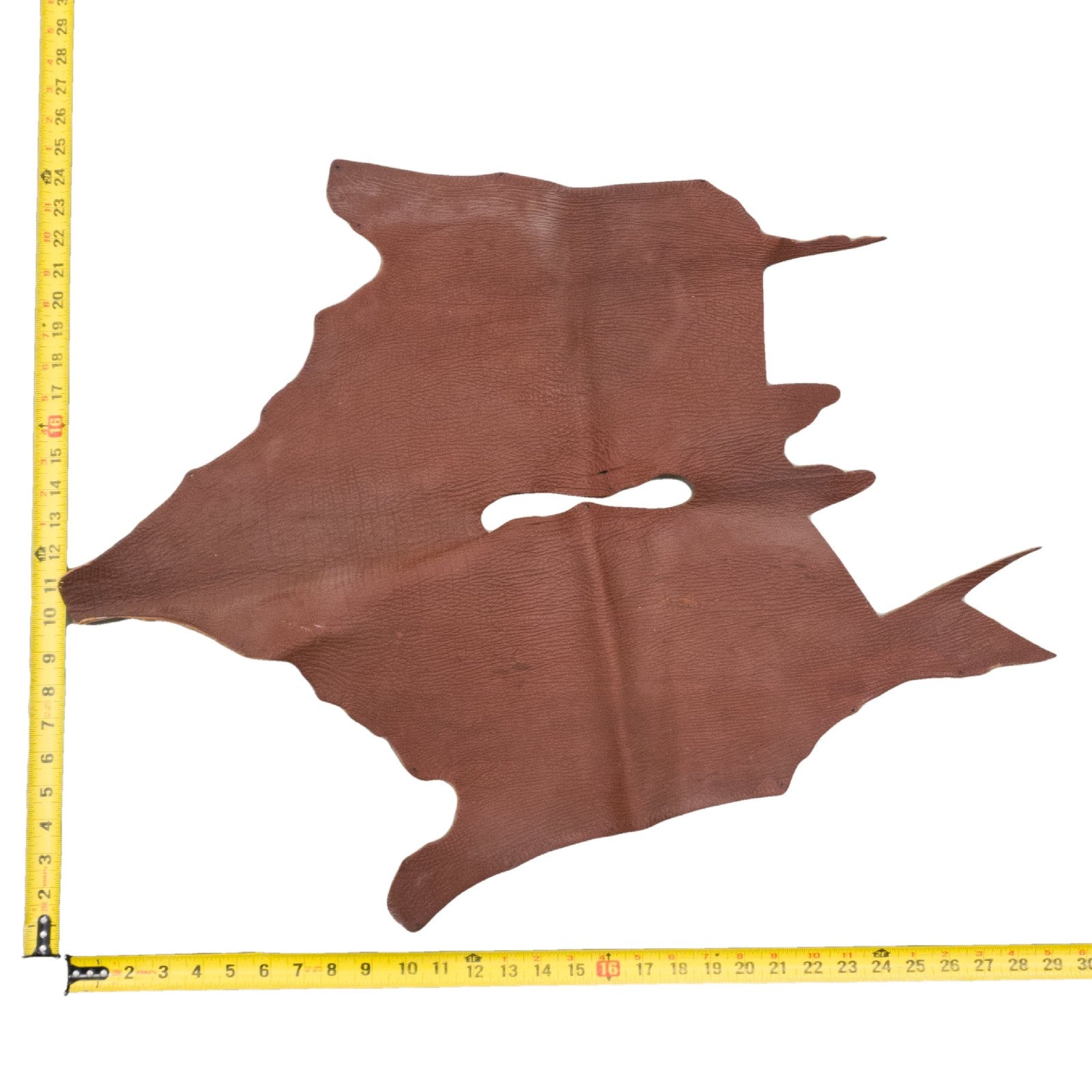 Genuine Shark Leather Project Pieces, 3 - 5 oz, Mixed Colors Remnant Bag, Brown / 1 (2.0 Sq Ft) | The Leather Guy