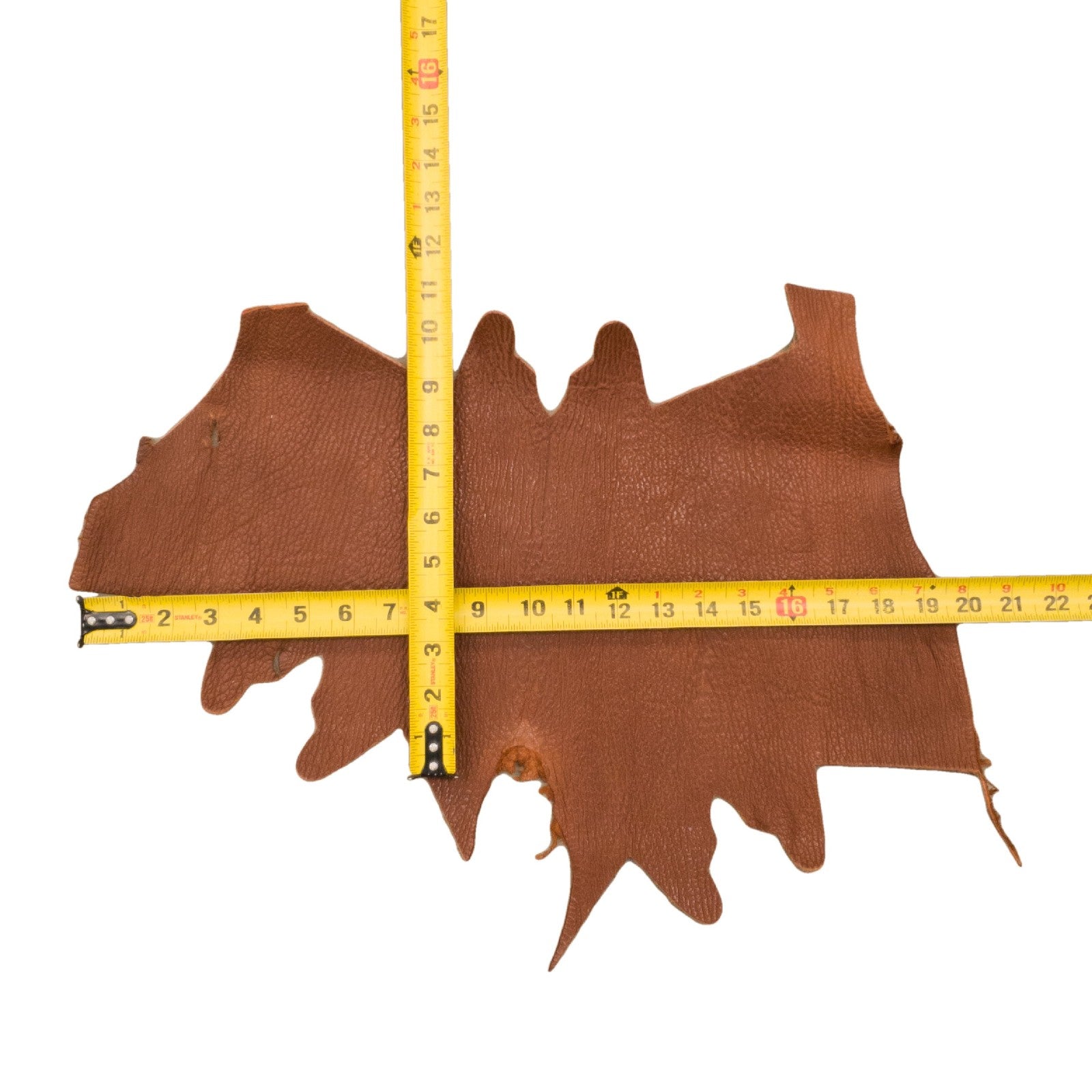 Genuine Shark Leather Project Pieces, 3 - 5 oz, Mixed Colors Remnant Bag, Brown / 6 (1 Sq Ft) | The Leather Guy