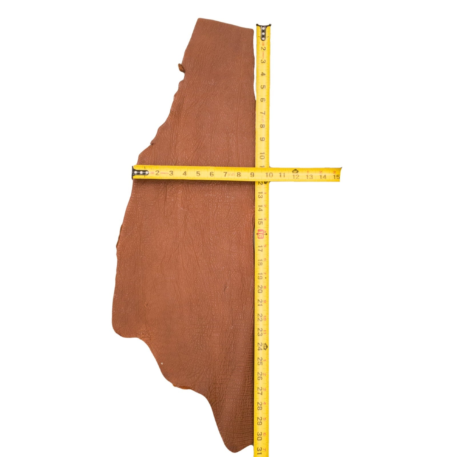 Genuine Shark Leather Project Pieces, 3 - 5 oz, Mixed Colors Remnant Bag, Brown / 3 (1.5 Sq Ft) | The Leather Guy