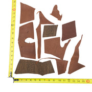 Exotic Mixed Color Leather Scrap and pieces, 1-5 oz, Remnant Bundle, Shark Pieces | The Leather Guy