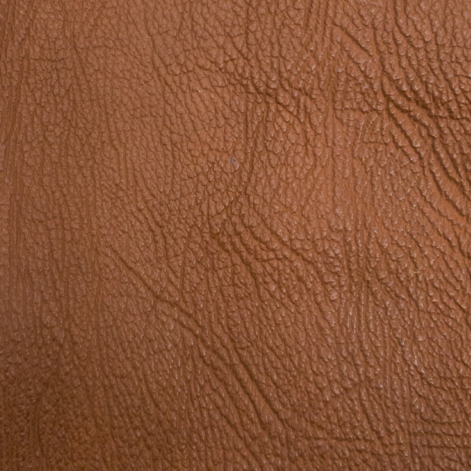 Genuine Shark Leather Pre-Cuts, 3 - 5 oz, Brown / 4"x6" | The Leather Guy