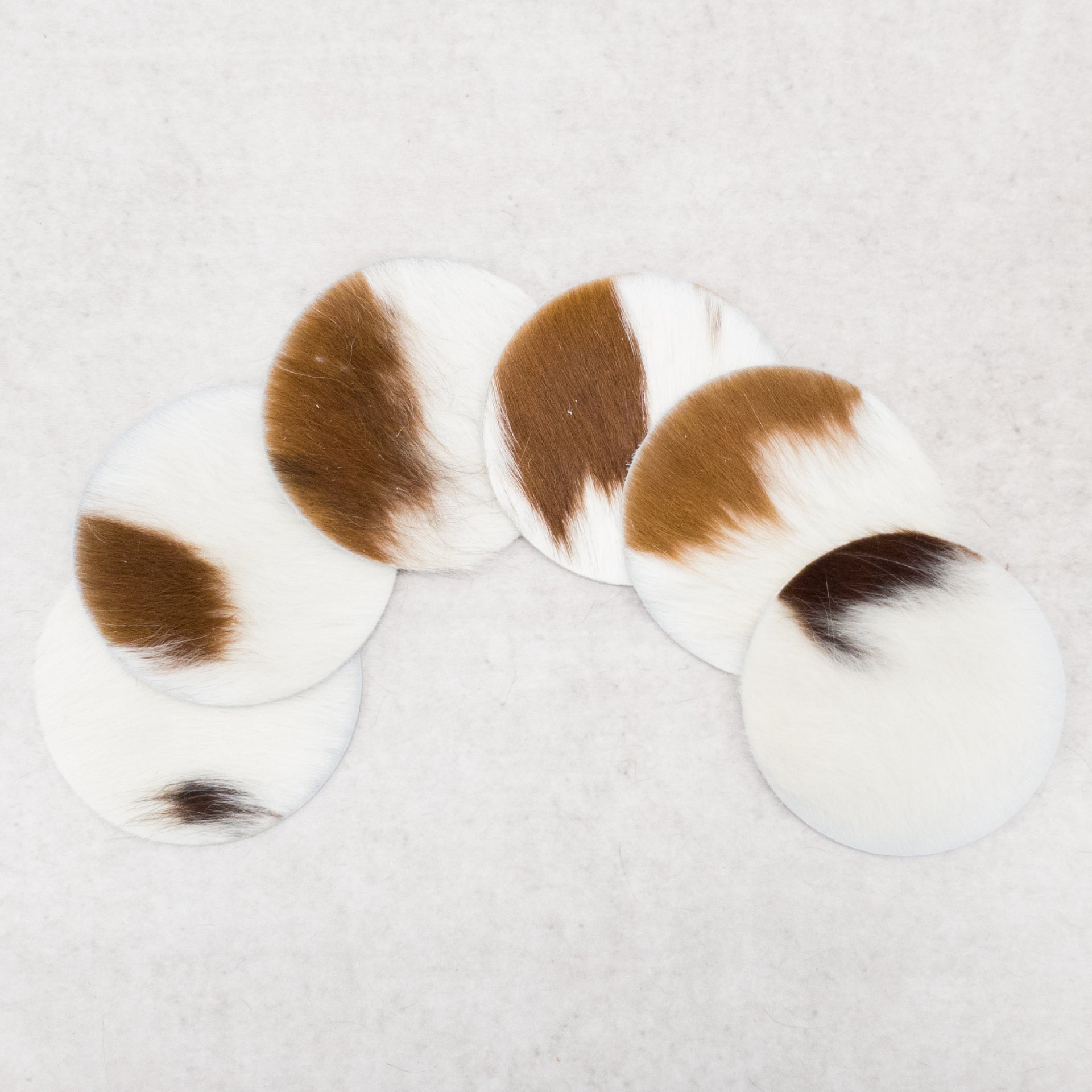 6pk Hair on Cow, Western Coaster Set, Round / Brown and White / 6 pk | The Leather Guy