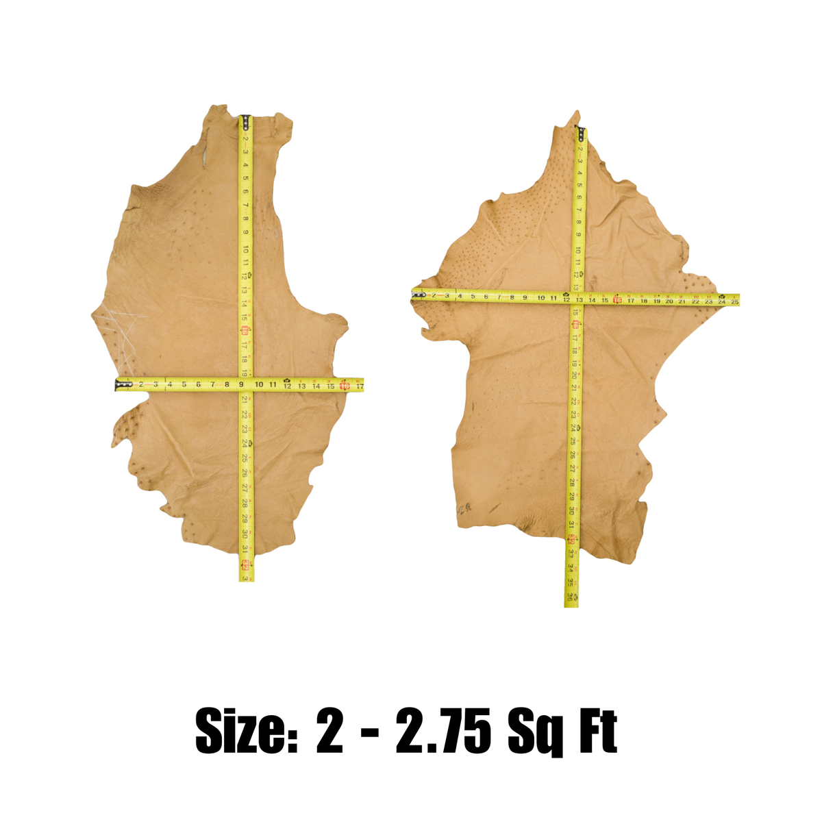 Genuine Ostrich, 0.5-2 Sq Ft, Project Pieces, Desert Sand / Large | The Leather Guy